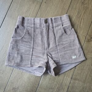 Hammies Corduroy Shorts in Tan
